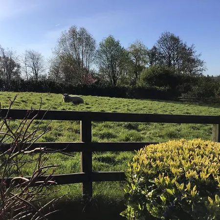 Orchardgrove Apartment Carlow