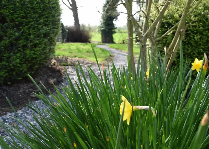 Lägenhet Orchardgrove